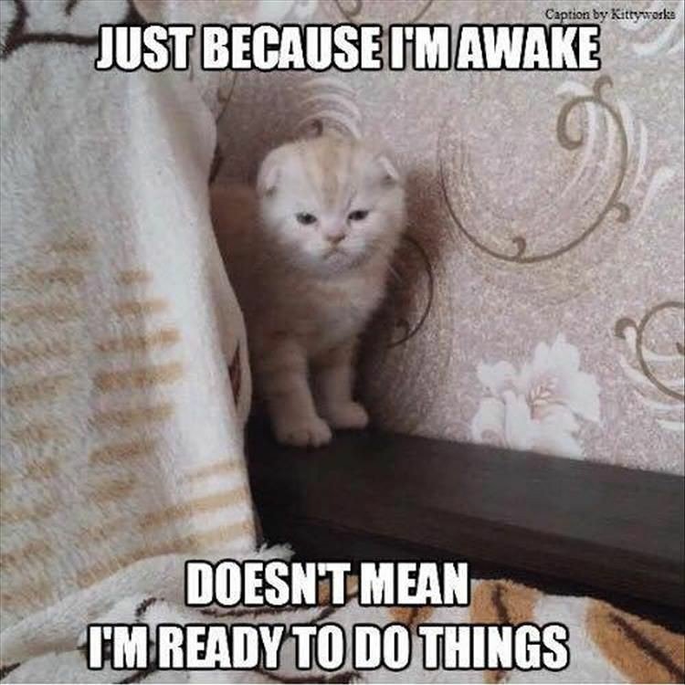 nyyankeesgirlmd's tweet image. #FUAlarmClock #bartenderproblems #ovt #bartender #dayshift #killingmeonebeeratatime