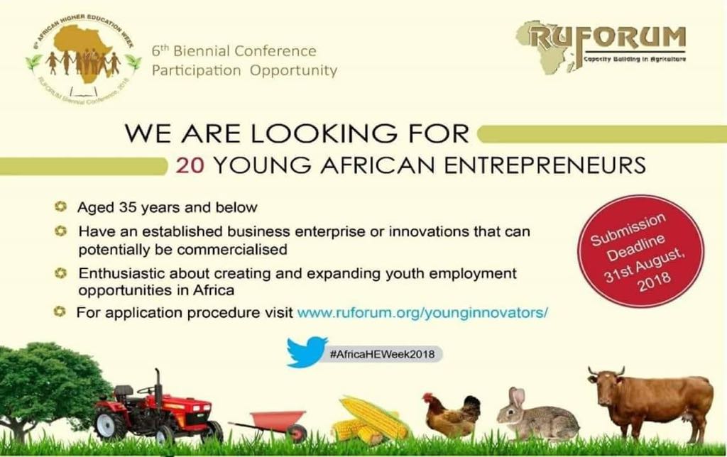 SayEntrepreneur's tweet image. 