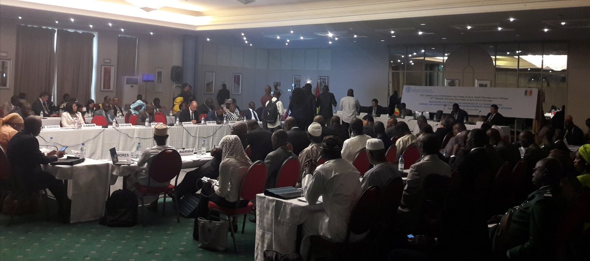 RedaLebtahi's tweet photo. #AFWC2018 #FAOSenegal Dakar: la 21ème Session de la Commission des Forêts et de la Faune Sauvage pr l’Afrique + 5ème Sem. africaine des forêts et de la faune sauvage: Restaurer les forêts, les paysages et la faune sauvage: Libérer les opportunités pour un dév. durable en Afrique. https://t.co/StRBhzhlMU
