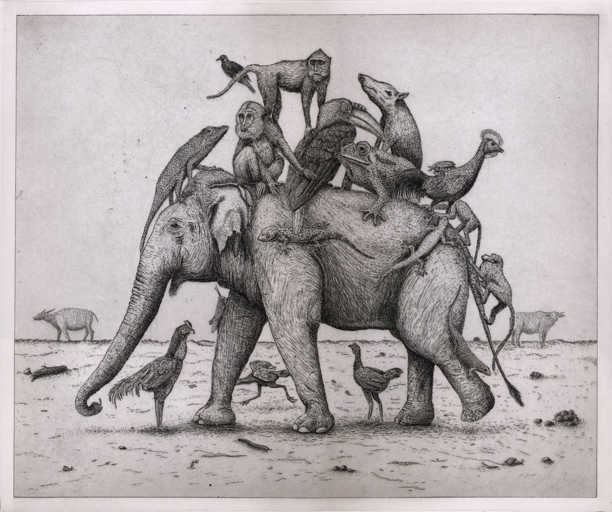 Fabian Lehnert >> elephas maximus <<
Radierung, Holzschnitt, Linolschnitt, Siebdruck
22. Juni – 03. August 2018
Eröffnung: 22. Juni 2018 // 18.00 Uhr