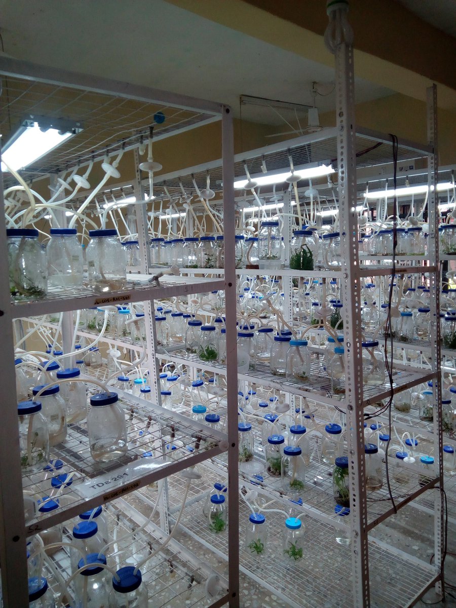 Climate smart agriculture is the trend. @FAO encourages aquaponics, Integrated Aquaculture Agriculture to reduce water consumption by more than half. bit.ly/2HqQEv4 @FAOAfrica @FAOWestAfrica @FAOclimate @UN_Nigeria @FAOSDGs @FAOfish