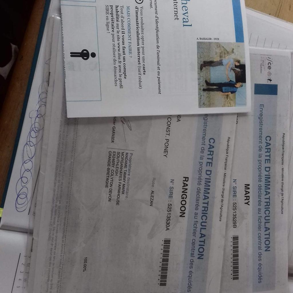 Hurrah! Mary and Rangoon came to us from France and it's taken 6 months to get their passports. They've finally arrived! A small thing, but something to smile about after yesterday's heartbreak.