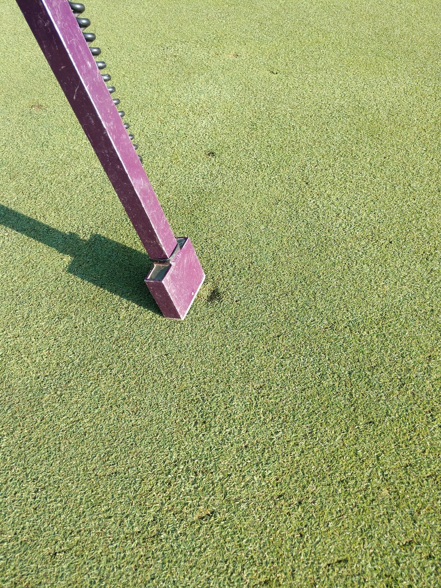 mikeyelenosky's tweet photo. Two Birds, One Stone. TDR 300 can fix ballmarks also. #nobending https://t.co/shb7K5J0Fx