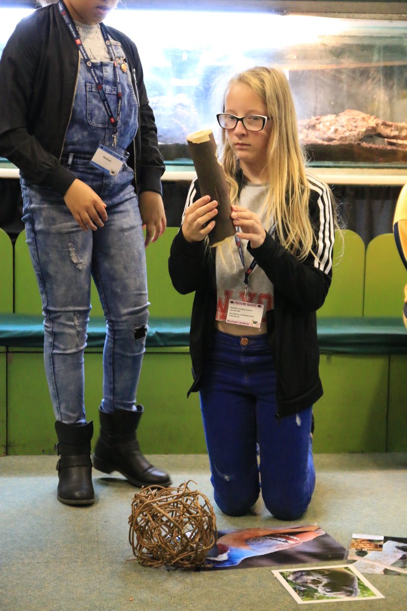 MerchantsAc's tweet image. Thank you @BristolZoo for an inspiring &amp;amp; educational day learning about #conservation, #careers in zoos &amp;amp; how everyone can make a difference &amp;amp; help #savetheplanet. #Awareness #inspiration @ATGPEmma