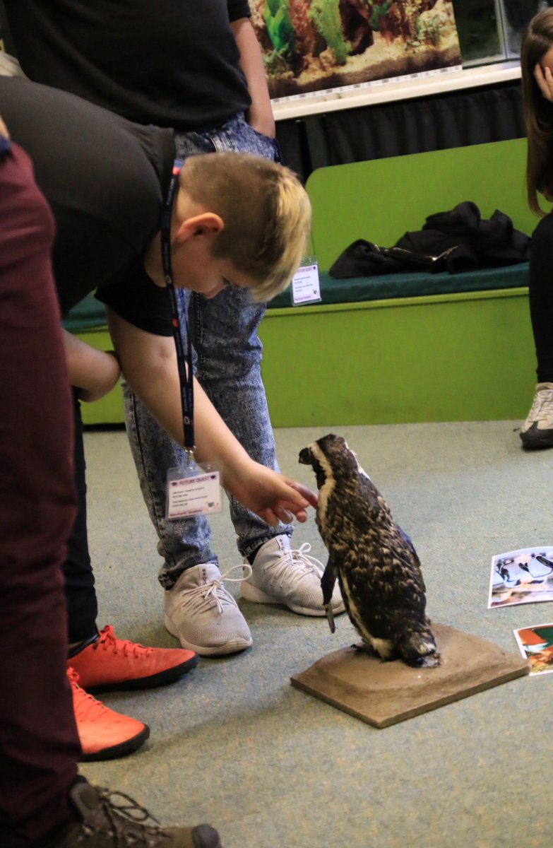 MerchantsAc's tweet image. Thank you @BristolZoo for an inspiring &amp;amp; educational day learning about #conservation, #careers in zoos &amp;amp; how everyone can make a difference &amp;amp; help #savetheplanet. #Awareness #inspiration @ATGPEmma