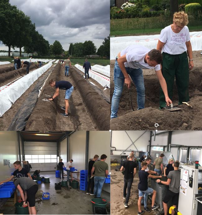 Limgroup_'s tweet photo. De eerstejaars groep van de #Greenport opleiding van het #CitaverdeCollege heeft recentelijk een leerzame praktijkmiddag gehad bij #Limgroup. https://t.co/lURVifbK4J