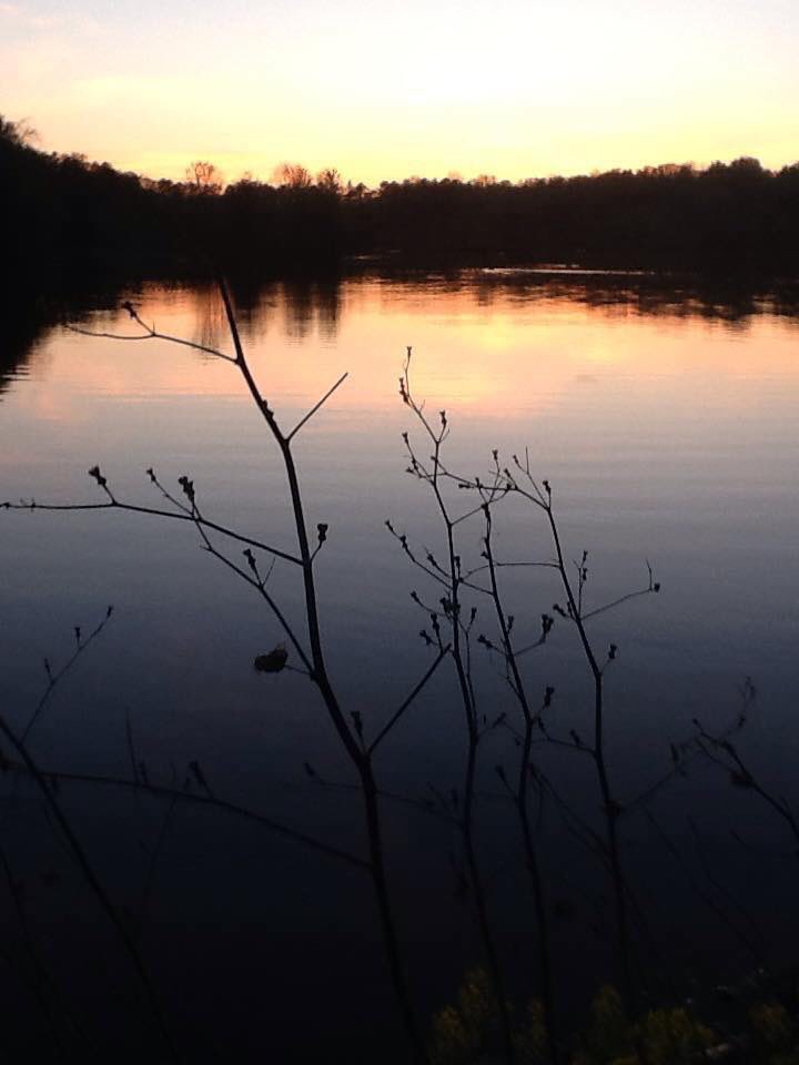 Reservoir 26 Greene-Sullivan State Forest. 100+ #fishing Pits #campingIndiana <a href="/INdnrnews/">Indiana DNR</a> @SIOutdoor