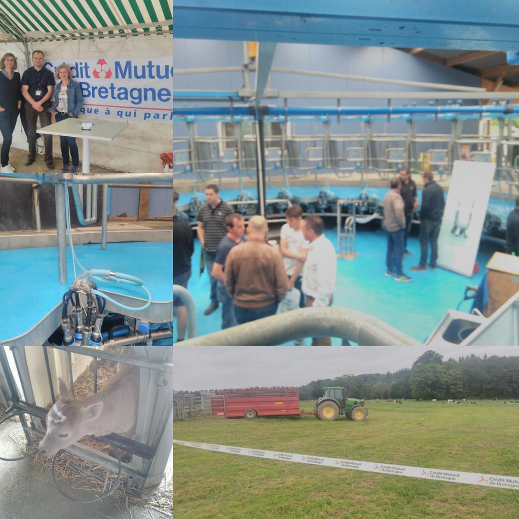 Karine Pipaud tweet media