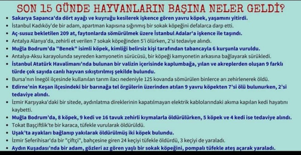 #HayvanlarİcinAdalet 
#HayvanHaklarıYasasıÇıksın
#SessizKalma