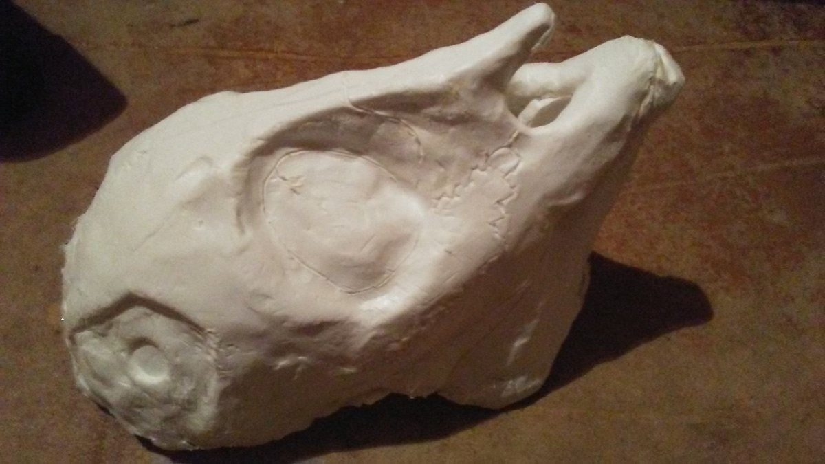 Finished molding the resin mask! #fursuit #furry #hoofurs #skull #goatskull #resinmask #fursuitinprogress