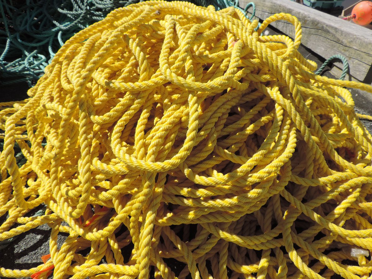 Did you know: The new TC regulations require Written Safety Procedures for all measures that must be taken to protect persons on board, including measures to avoid ropes, docking lines, nets, and other fishing equipment that may pose a safety hazard?