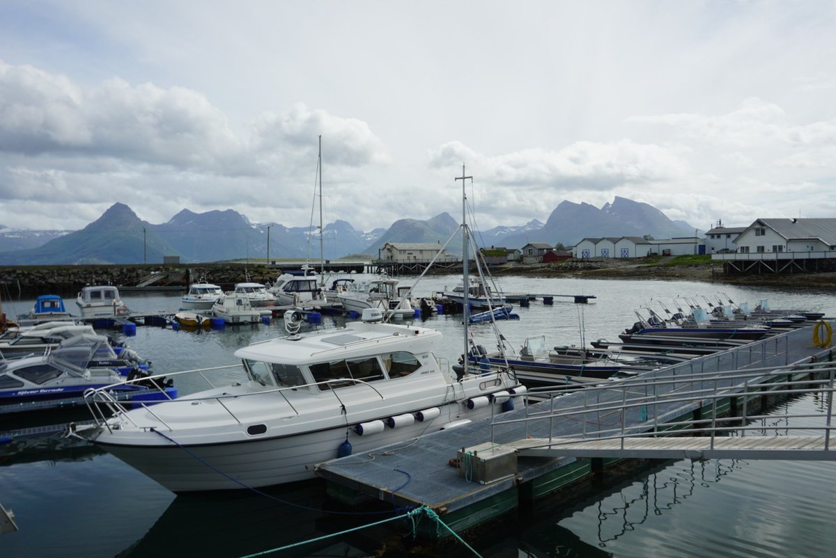 Manolinaqua's tweet photo. Thank you to #KvarøyFiskeoppdrett for hosting us. It is great to hear everyone's stories and learn more about where #tech can help.

#ManolinInNature #Aquaculture #Havbruk 

@hatchblue1 @NCESeafood @BTOnews @DNB_Bank https://t.co/K347qhi8Kv