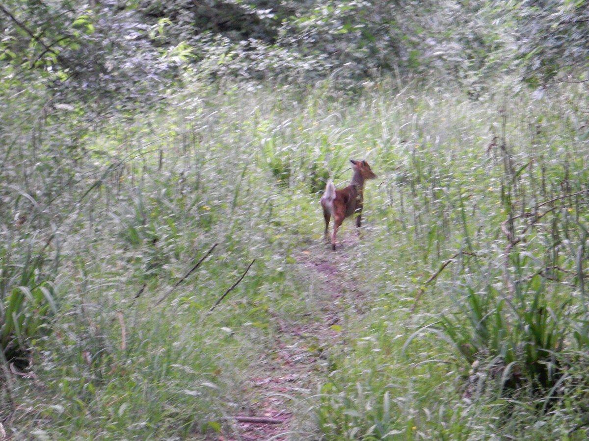 Alastair H-R | Tracker Al tweet media