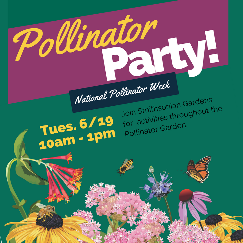 SIGardens's tweet photo. Come out for our Pollinator Party today at 10 in the Pollinator Garden! We have all kinds of activities planned and a ton to learn! Can't wait to see you all there! #pollinatorweek2018 #pollinatorweek https://t.co/XMHK2bwYax