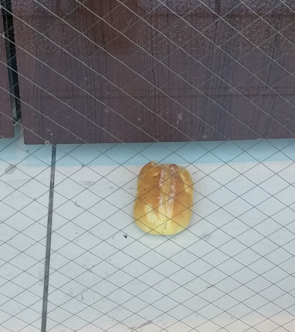 トングでパンを脅すと逆襲される事もあるよという話 Togetter