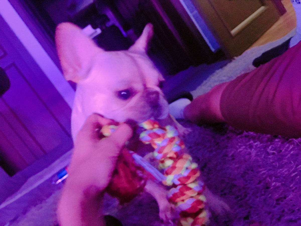 translatevixx's tweet photo. @AceRavi TRANS: All of the cuteness in the world is for our badass https://t.co/ok6NgsgkyR