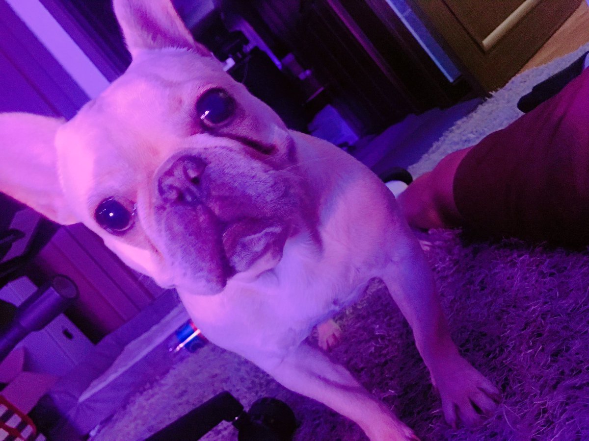translatevixx's tweet photo. @AceRavi TRANS: All of the cuteness in the world is for our badass https://t.co/ok6NgsgkyR