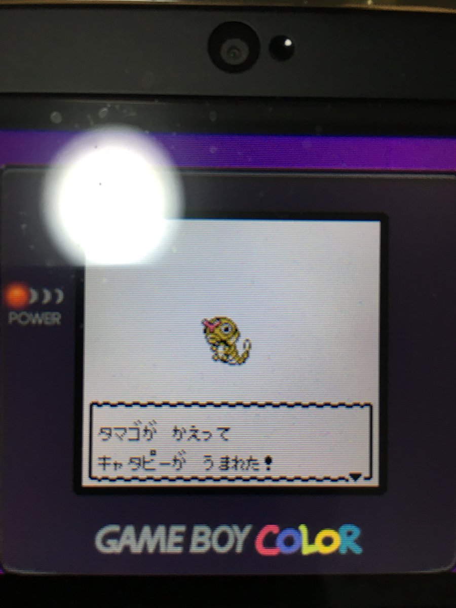 色違いポケモン紹介 Vc産キャタピー 自由に生きてあそblog