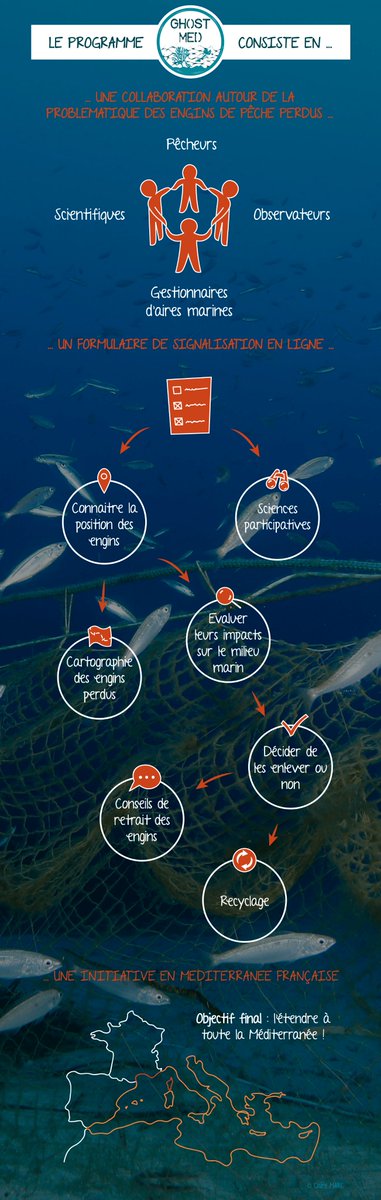 GhostMed tweet media