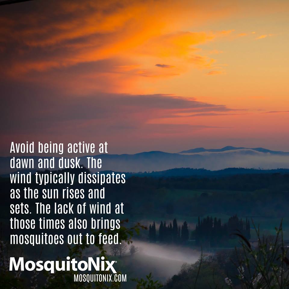 Protect the ones you love from pesky mosquitoes. #TuesdayTips #FightTheBite #NoMoreMosquitoes #MosquitoNix