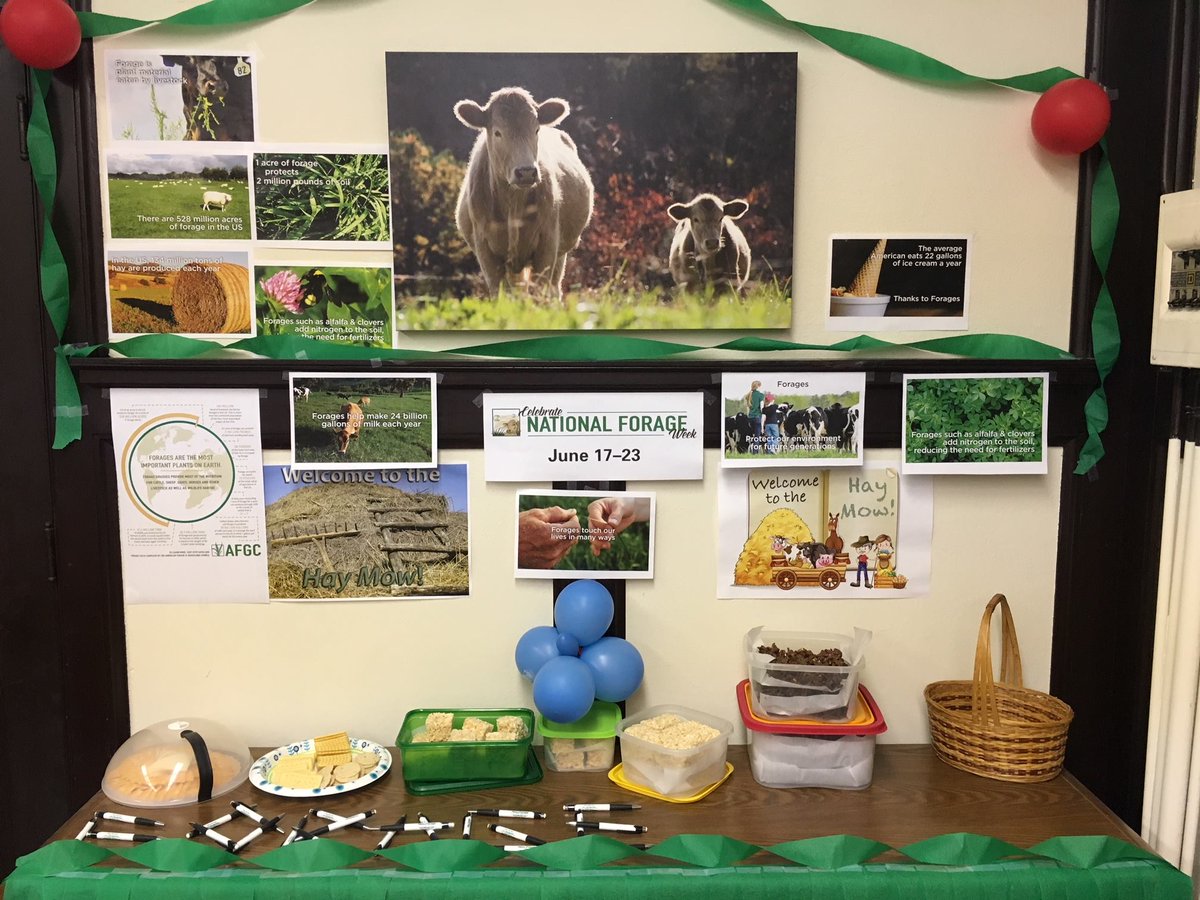 hayandforage's tweet image. It's #NationalForageWeek! Our office is celebrating with #haystacks (chocolate clusters) and #strawbales (rice krispie treats) as well as some #cheese – after all, #cows need #forages to make #milk and dairy products!
