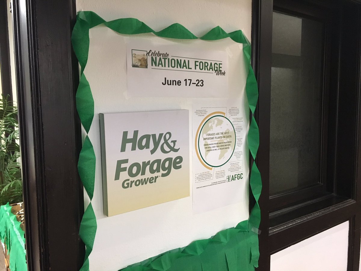 hayandforage's tweet image. It's #NationalForageWeek! Our office is celebrating with #haystacks (chocolate clusters) and #strawbales (rice krispie treats) as well as some #cheese – after all, #cows need #forages to make #milk and dairy products!