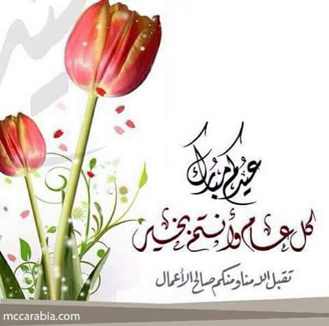 almkbs tweet picture