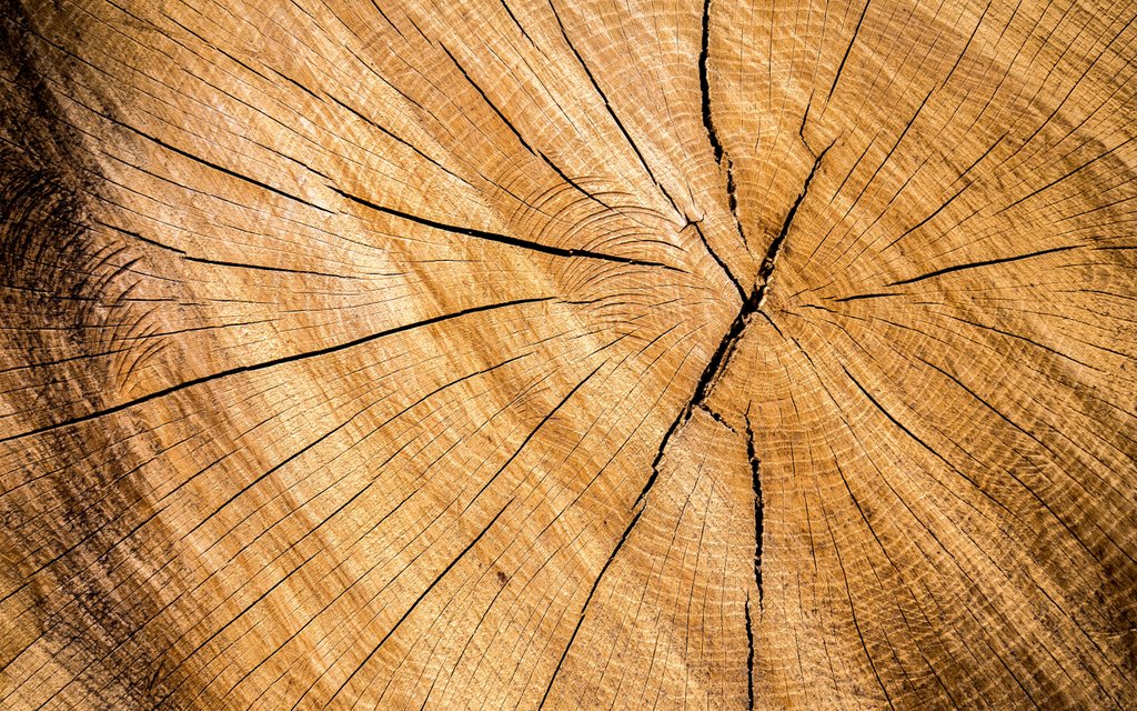 DZoneInc's tweet image. #Log4net vs #NLog: Comparison of How They Affect Codebases via #MVB @daedtech bit.ly/2tcVnas #performance