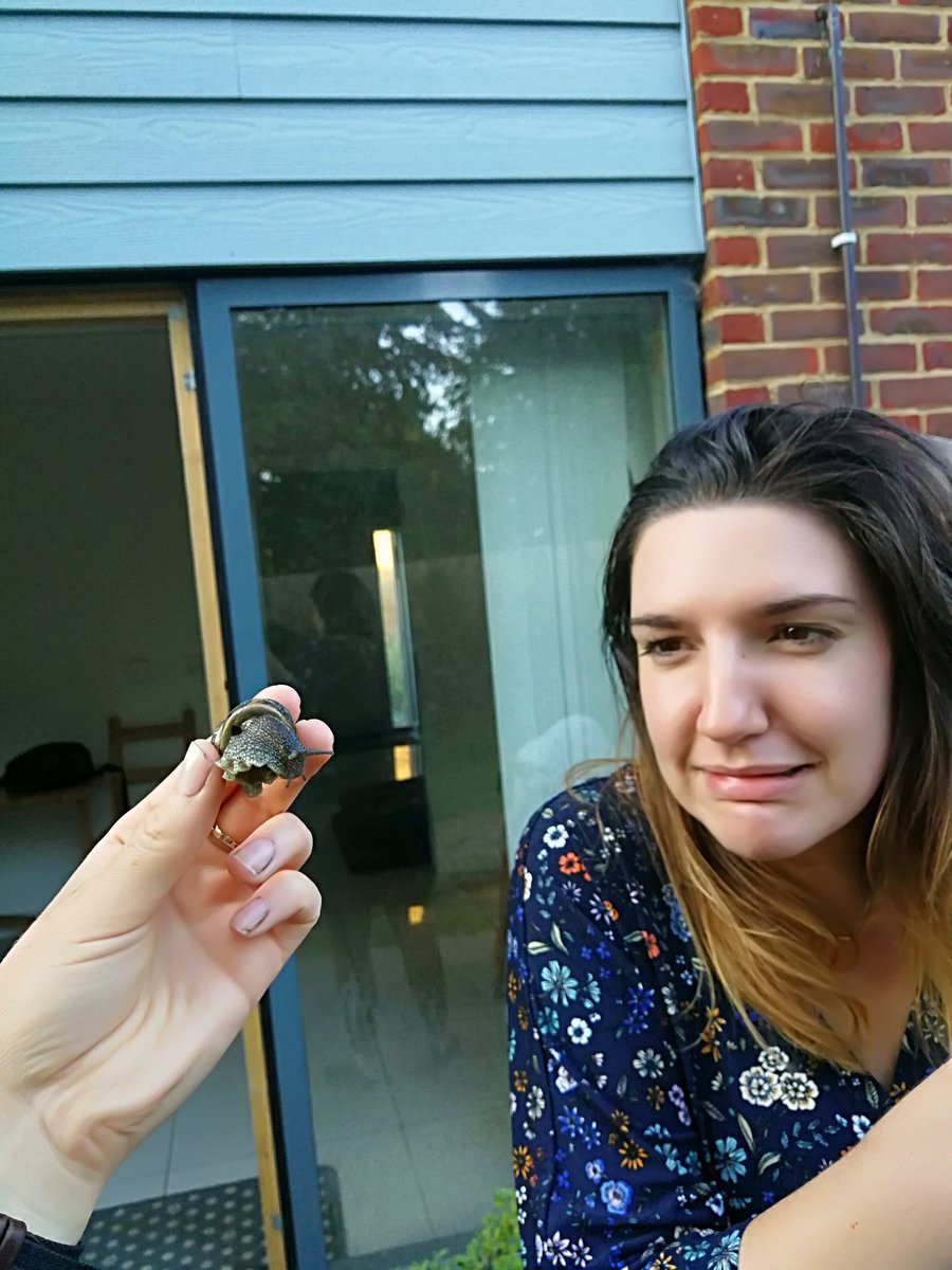 Ali_Ecology's tweet photo. Trying to convince my housemate how cool the humble garden snail is. Not having much luck so far... #30dayswild https://t.co/e044Zu4unz