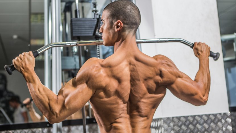 Best Traps Ever - Muscle & Fitness