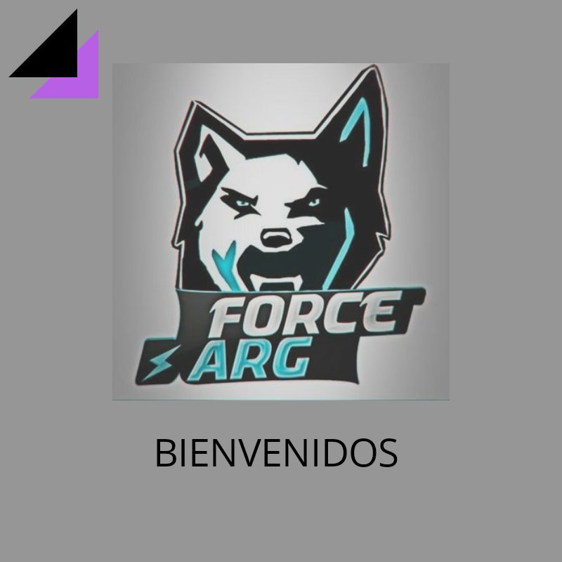 11-12BIENVENIDOS A LA LIGA ⚡@Force_Arg