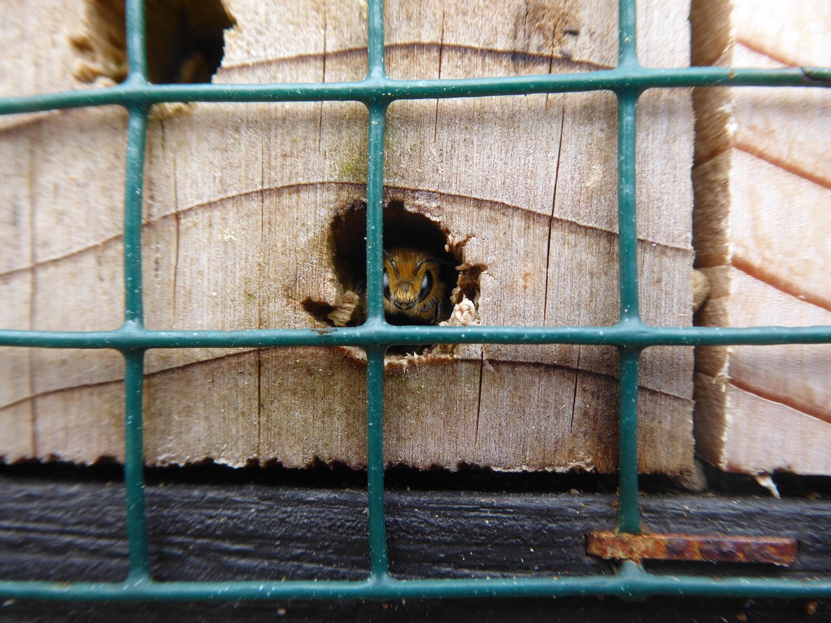 Andrew Whitehouse 〓〓 tweet media