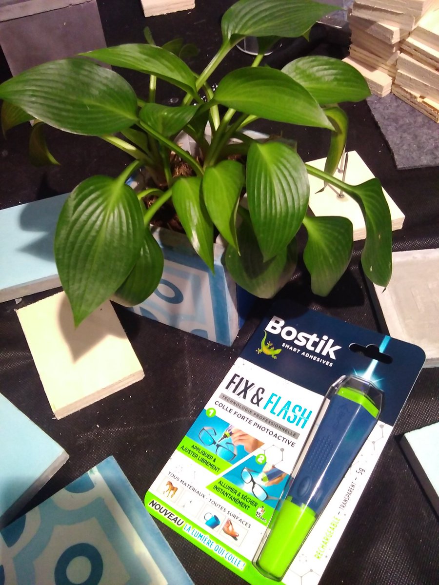 natieak's tweet photo. Mon cache pot réalisé avec la nouvelle colle #fixflash de #sader @bostik 😀 @TerreDeRoses #vitessedelalumiere #DIY https://t.co/pvApKJ3R95
