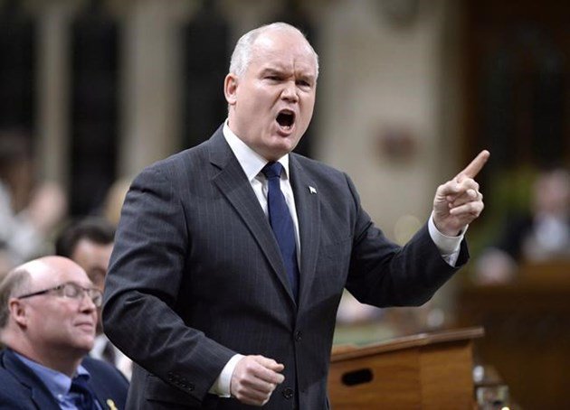 Trump assails Canadian tariffs, accuses people of smuggling U.S. goods home  ottawamatters.com/national-news/… https://t.co/diA34Vmr1F