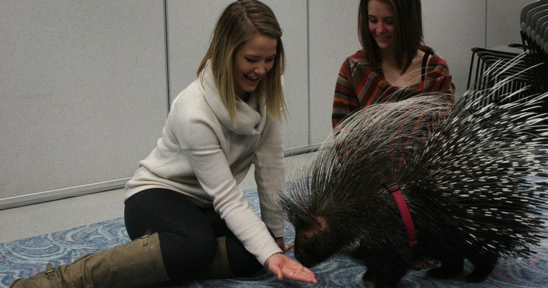 CO Walk of Hope tweet media