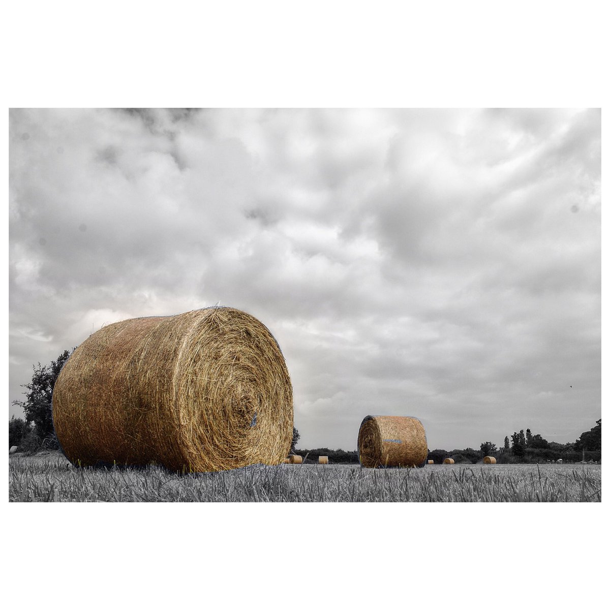 Kaum ein paar Tropfen Regen, schon wächst der Rasen wieder. 🤔