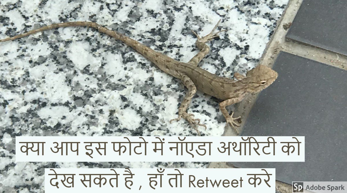 shobhitkapoor's tweet photo. @noida_authority @PMOIndia @ZeeNews @abpnewstv @CMOfficeUP @pksbjp @dr_maheshsharma @myogiadityanath @amitmalviya @RSSorg @anil100y #AuthorityAgainstYogi  जो अथॉरिटी मुख्यमत्री की नहीं सुनेगी उसको आप क्या बोलेंगे ? https://t.co/OIGC0VL0A7