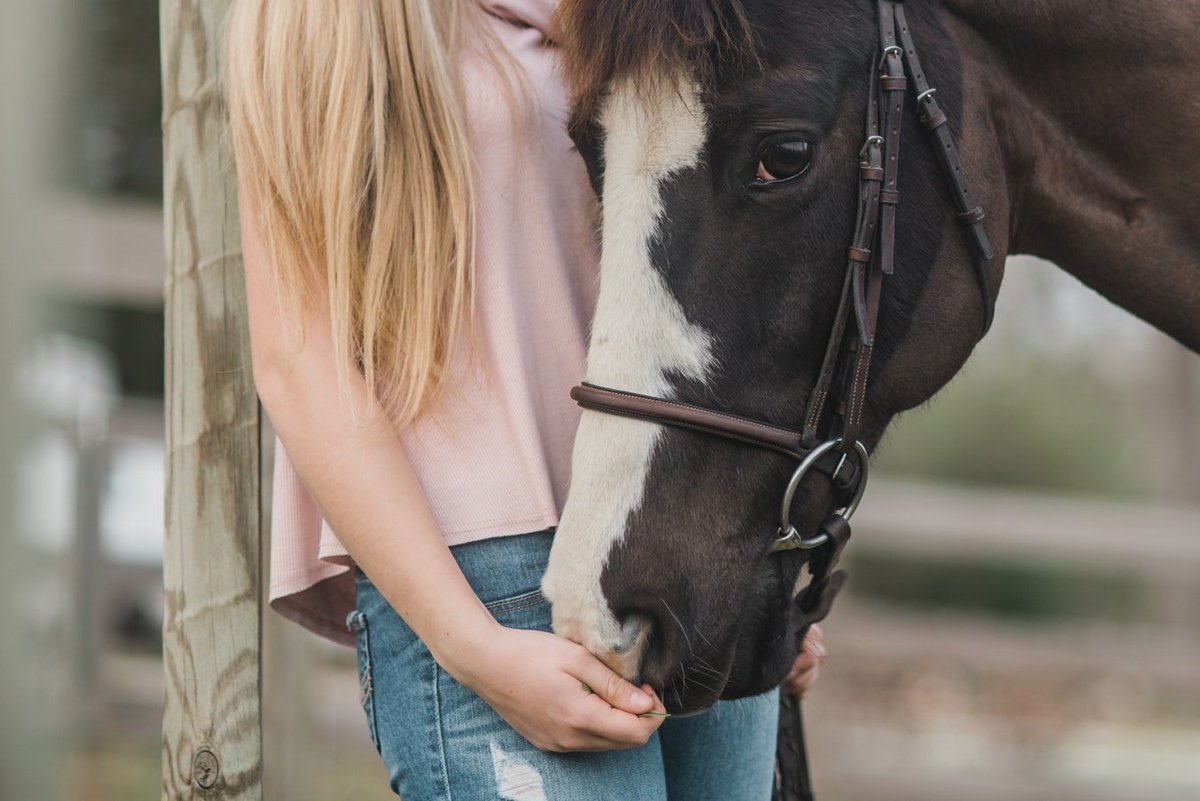 WeAcceptPets's tweet photo. Lowertown Farm Bed & Breakfast offers horse friendly accommodation in Poundsgate, a small village located in Dartmoor.
https://t.co/4S0ocM9sHO
#Horse #HorseRiding #HorseFriendly #Holiday #Travel #Accommodation #Poundsgate #Devon #DartmoorNationalPark #England https://t.co/nTmdcVyrEV