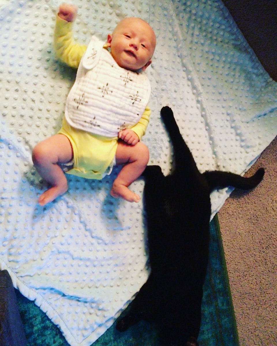 patrickhammond7's tweet photo. Cats and babies do mix. Newly best friends. #cats #baby #bestbuddies https://t.co/TLLtJ96GxH