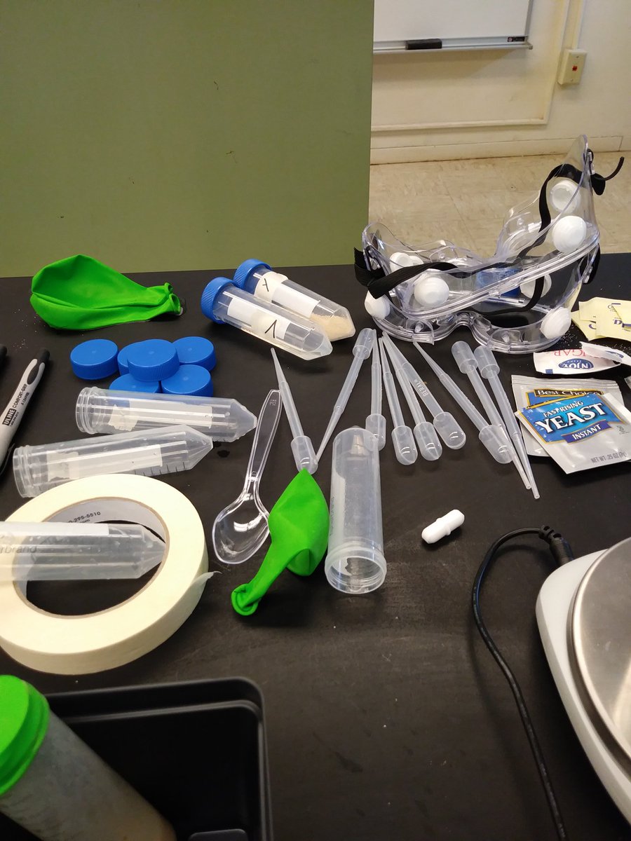 RachelElliottEd's tweet photo. Biofuel yeast lab! @OSU_PLANTS https://t.co/JPMTkmdyio