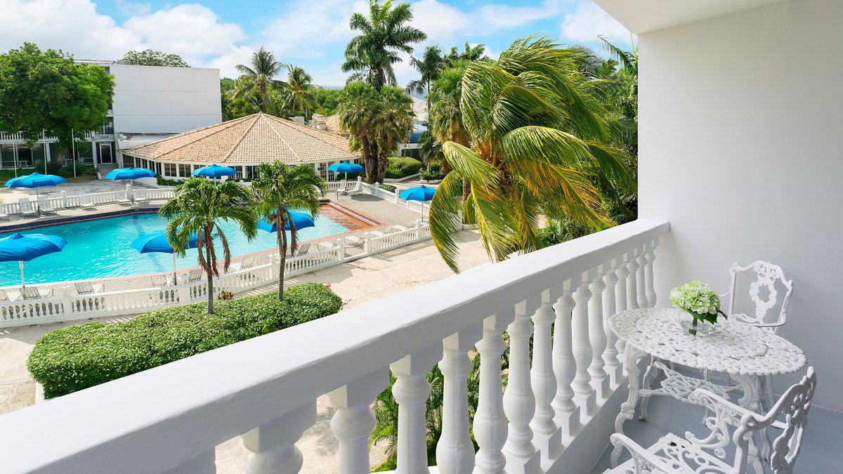 CaribbeanWinds's tweet image. Prices have dropped to as low as $54/night at this fabulous Curacao beach resort.

Don't miss out: buff.ly/2t5T1Ls