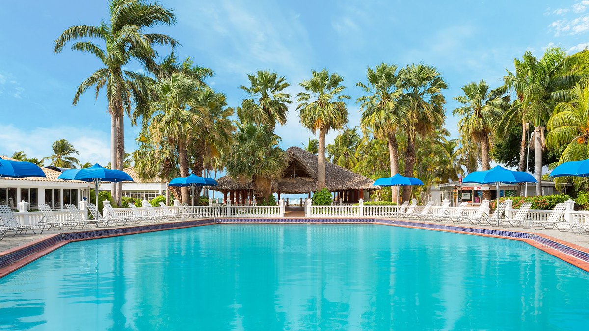 CaribbeanWinds's tweet image. Prices have dropped to as low as $54/night at this fabulous Curacao beach resort.

Don't miss out: buff.ly/2t5T1Ls
