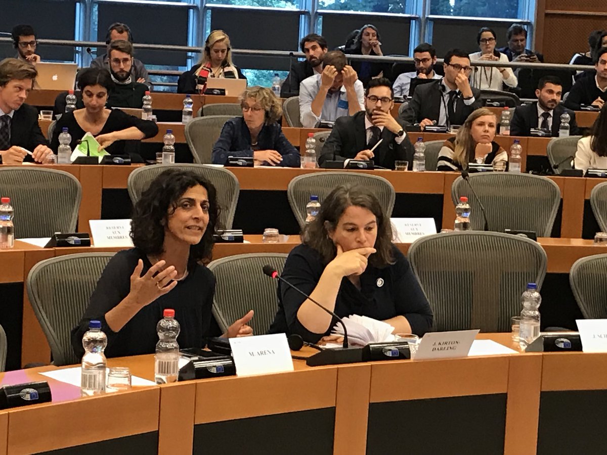 ForneaDumitru's tweet photo. Weβve debated today in the @Europarl_EN on the future of sustainable development chapters from #FTAs & #DCFTAs,within a workshop chaired by @berndlange @EP_Trade & @IuliuWinkler #IloFundamentalConventions #FairTrade #LabourRights #HumanRights #SocialDialogue #CivilSociety πͺπΊπ€ https://t.co/hDQVltvBfY
