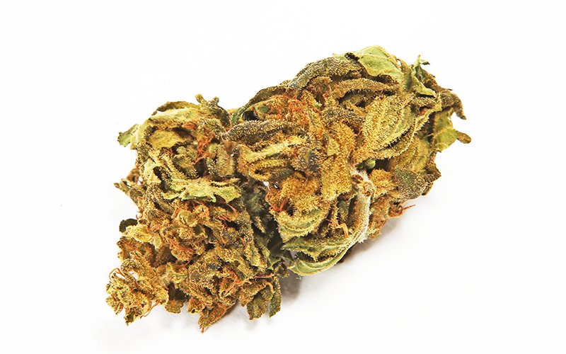 magicalweed_it's tweet image. Charlotte - Fiore di Cannabis Legale magicalweed.com/cannabis-legal… - #CannabisCommunity #CBD #CannabisOil #CannabisCures #CBD2018