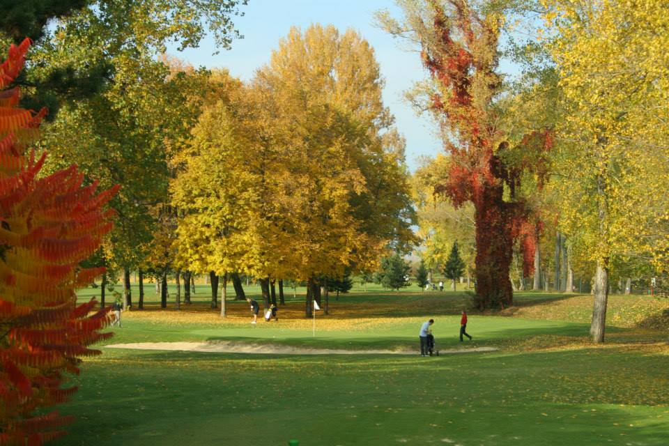 AlexaGolfTravel's tweet photo. Thermia Palace SPA and Golf Packages 5 x Golf at Piestany Golf Club Slovakia  https://t.co/IS3xp7gEVS 

#Golf #thermia #Slovakia #Piestany #PiestanyGolf #golfer #GolfHolidays #AlexaGolf https://t.co/1UiP4hXSeQ