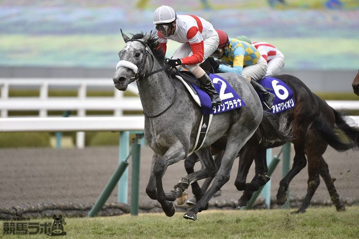 霧風 きりかぜ ウマ娘 で トレーナーの元から去った2頭 ゴルシが残った事からゴルシと同時期の馬と推定 左はゴルシが14宝塚勝った年に朝日フューチュリティ G1 勝ったダノンプラチナ 右が流星なしの青鹿毛で同期で天皇賞春2連覇を成し遂げた