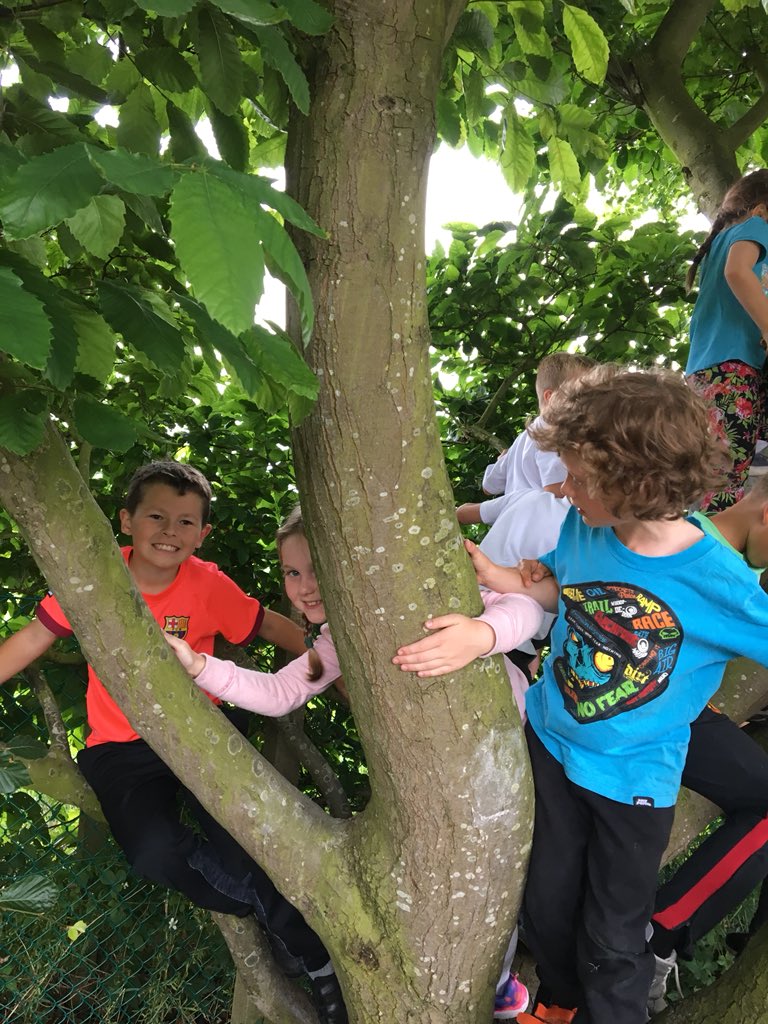 antrobus_st's tweet photo. And generally ‘monkeying around!’ #moreforestfun #class3 https://t.co/SeQsHhjj0N