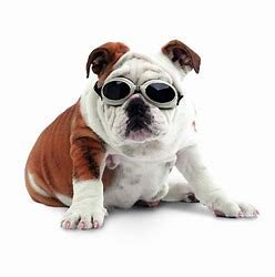 Tuesday Tips: Remember your shades and you child’s also! Sunglass are extremely important when you’re at the beach, just like your sunscreen. I bet you didn’t know that your eyes can get sunburn just … Click here bit.ly/2HD1eLB 
Image Source: bit.ly/2Jx0tJF
