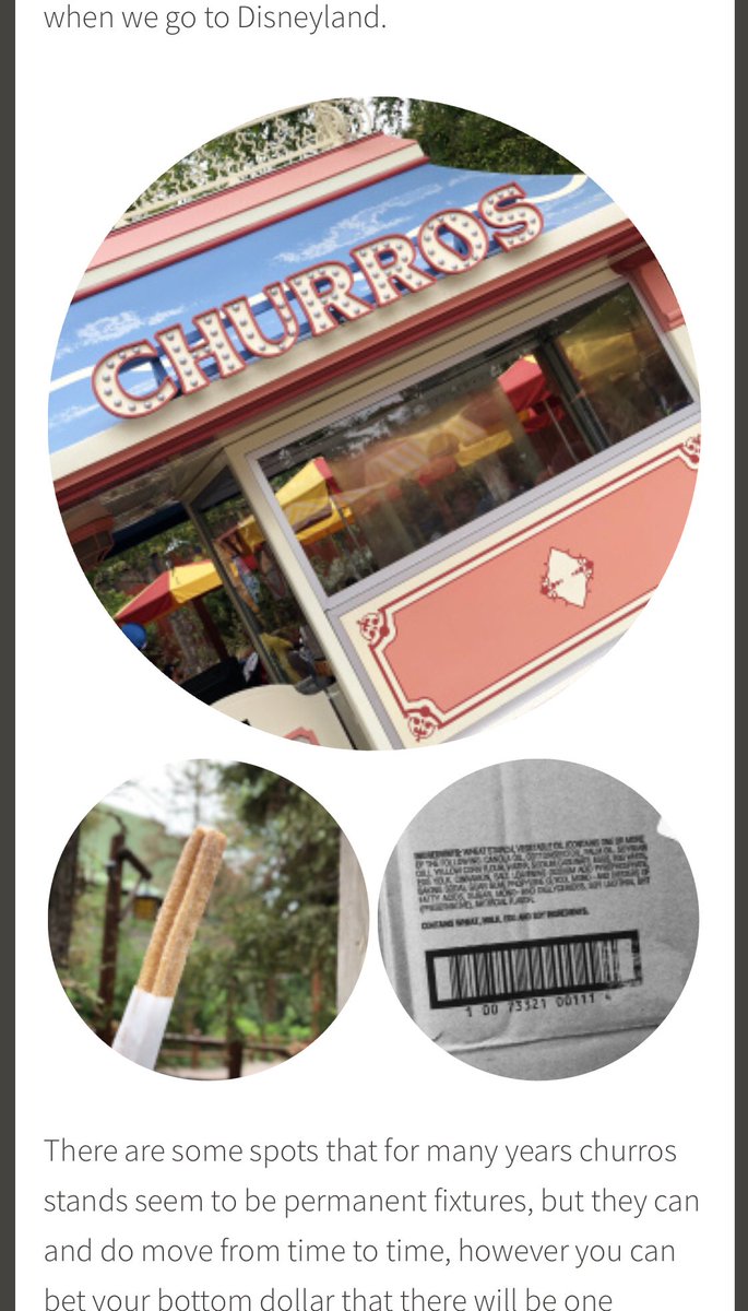 My kids could eat churros for.ev.er!!! All. Day. Every. Day! Have you read the label for Disney’s churros? Check it out on the blog today: bit.ly/2JZDvqS #foodallergy #disneyfood #churros #everylabeleverytime
