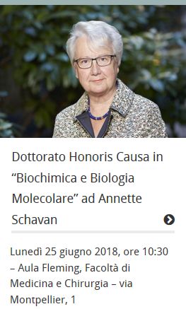 CausaSchavan's tweet photo. Am 25. Juni kriegt "dottoressa" Annette #Schavan wieder mal eine Ehrendoktorwürde. Diesmal für Biochemie und Molekularbiologie von der Universität "Tor Vergata" in Rom. Weil sie ganz persönlich die Deutschen Zentren der Gesundheitsforschung erfunden und gegründet hat. https://t.co/3Wt9M1mHTZ